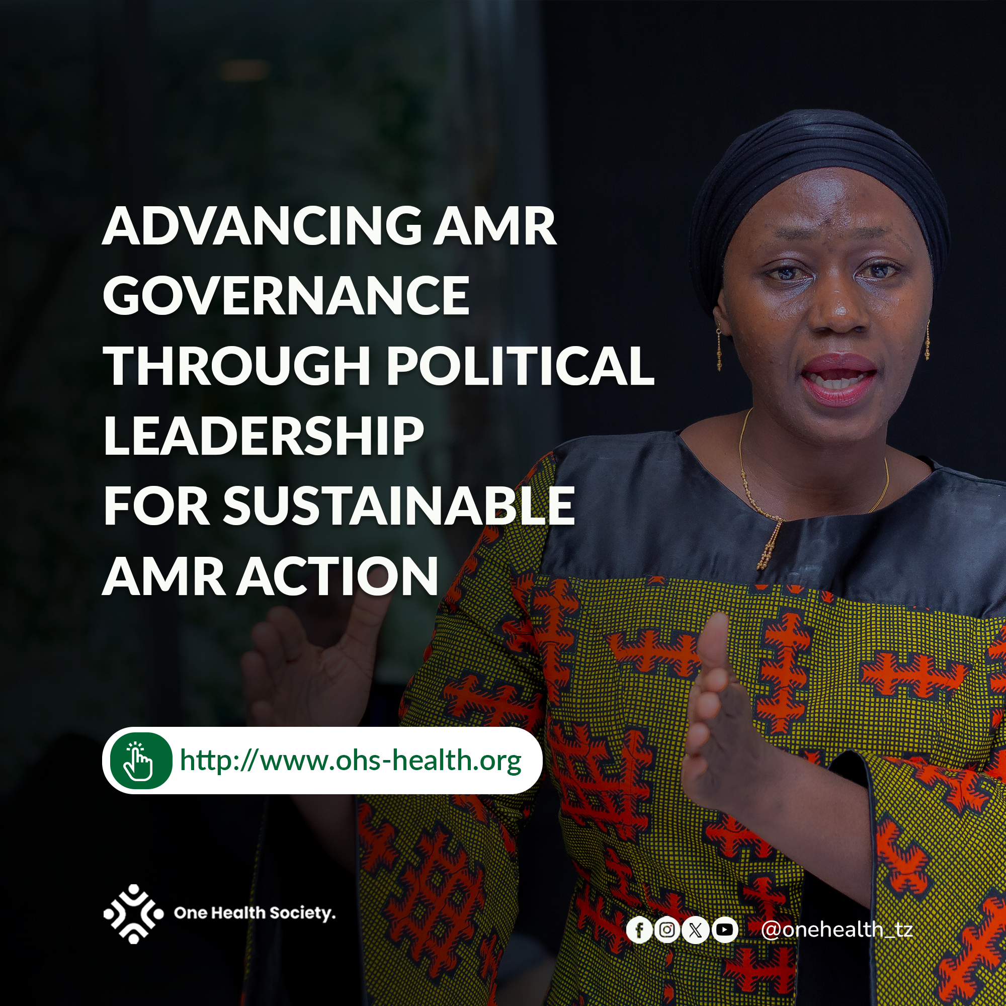 Advancing AMR Governance Through Political Leadership for Sustainable AMR Action
